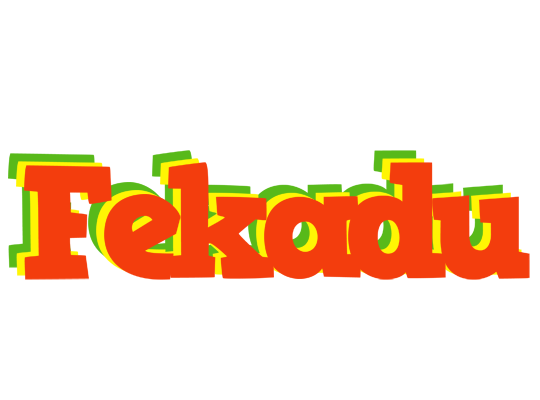 Fekadu bbq logo