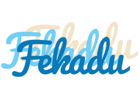 Fekadu breeze logo