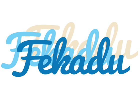 Fekadu breeze logo