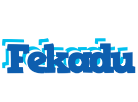 Fekadu business logo