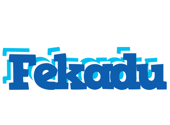Fekadu business logo