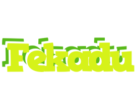 Fekadu citrus logo