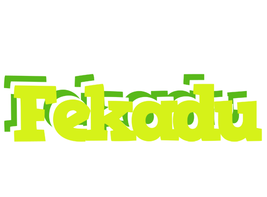 Fekadu citrus logo