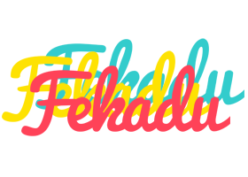 Fekadu disco logo