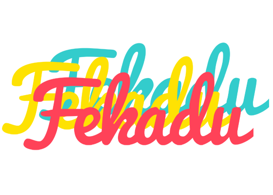 Fekadu disco logo