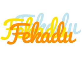 Fekadu energy logo