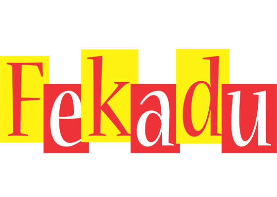 Fekadu errors logo