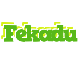 Fekadu picnic logo