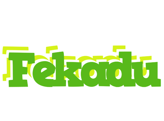 Fekadu picnic logo