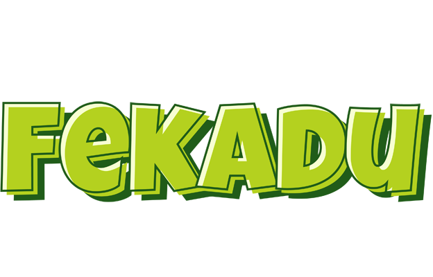 Fekadu summer logo