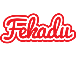 Fekadu sunshine logo