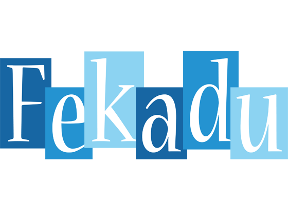 Fekadu winter logo