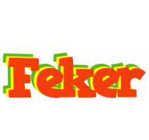 Feker bbq logo