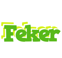 Feker picnic logo