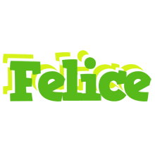 Felice picnic logo