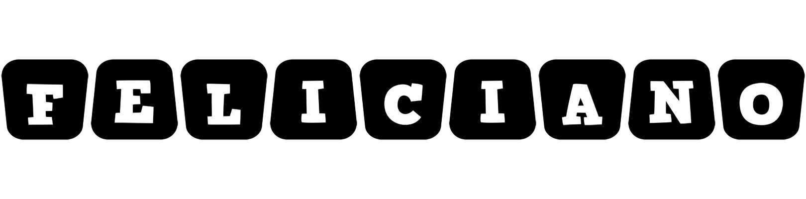 Feliciano racing logo