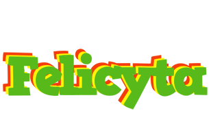 Felicyta crocodile logo