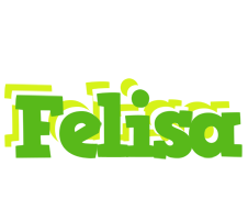 Felisa picnic logo