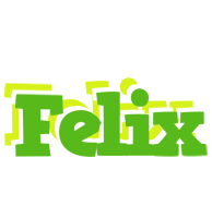 Felix picnic logo