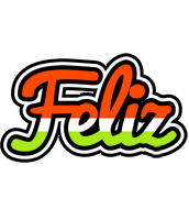 Feliz exotic logo