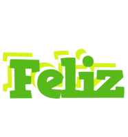 Feliz picnic logo