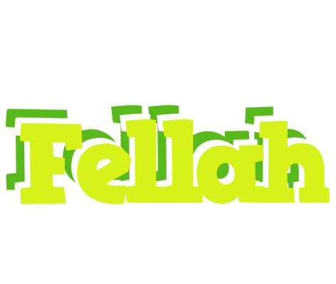 Fellah citrus logo