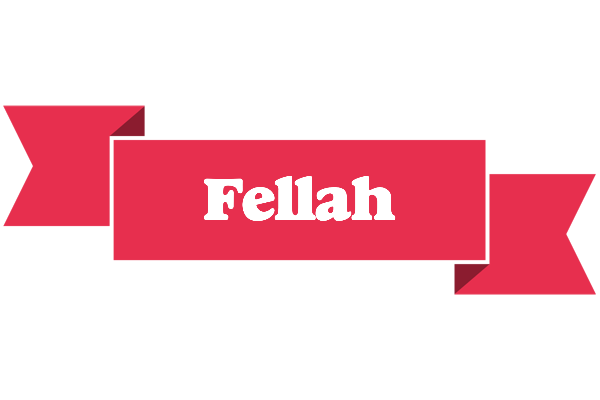 Fellah sale logo