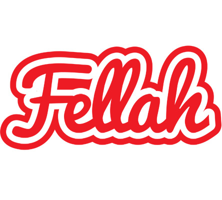 Fellah sunshine logo