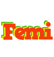 Femi bbq logo