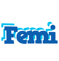 Femi business logo