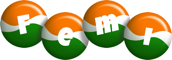 Femi india logo