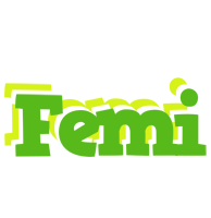 Femi picnic logo