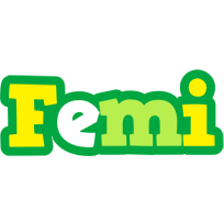 Femi soccer logo