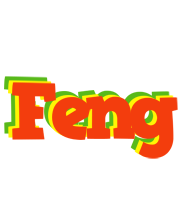 Feng bbq logo