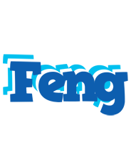 Feng business logo