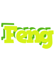 Feng citrus logo