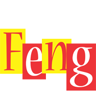 Feng errors logo