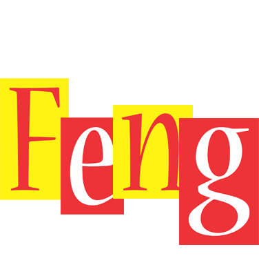 Feng errors logo