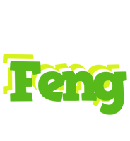 Feng picnic logo