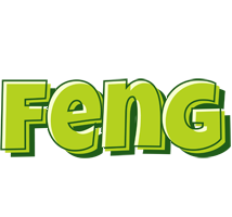 Feng summer logo