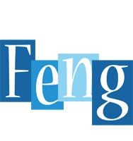 Feng winter logo