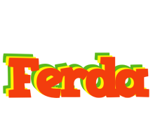 Ferda bbq logo