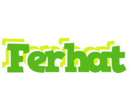 Ferhat picnic logo