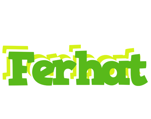 Ferhat picnic logo