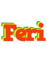 Feri bbq logo