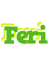 Feri picnic logo