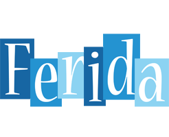 Ferida winter logo