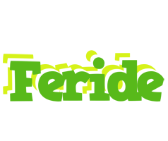 Feride picnic logo