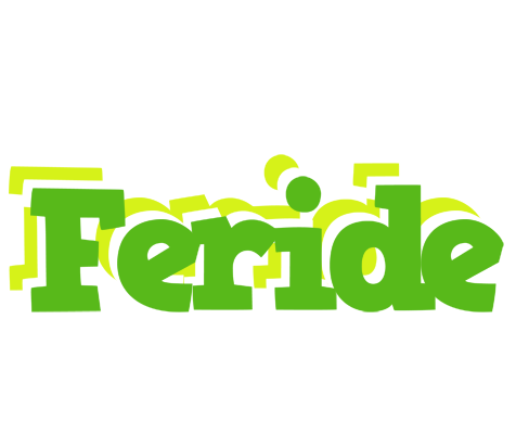 Feride picnic logo