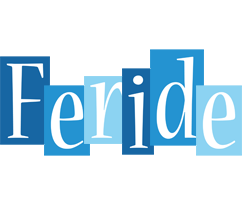 Feride winter logo